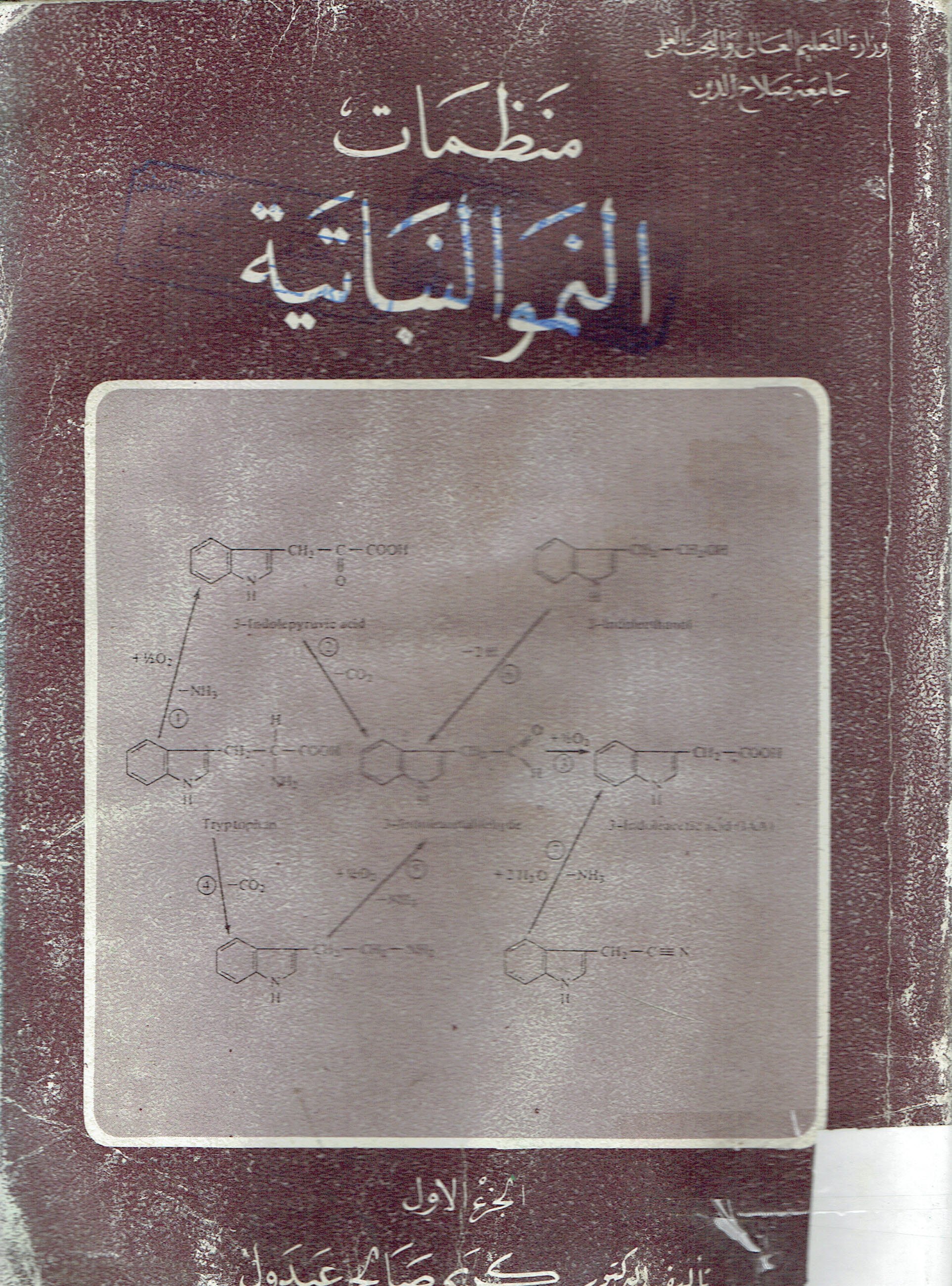 منظمات النمو النباتية